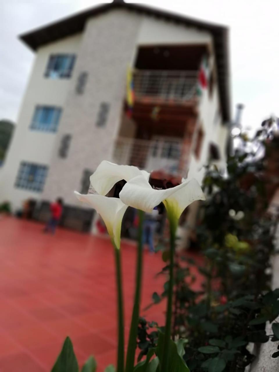 Portal De La Cascada - Mongui Hotel Kültér fotó